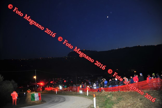 DSC_9292.JPG